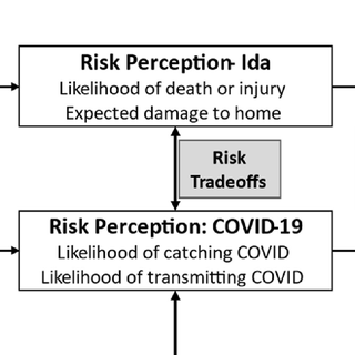 Hurricane Ida and COVID-19 risk perception and trade-offs